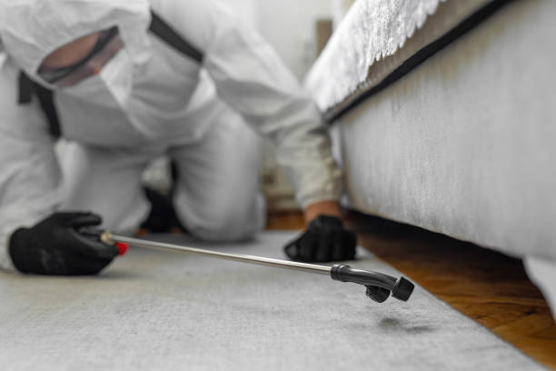 Professional Bed Bug Control technician working in Fruitland Park, FL