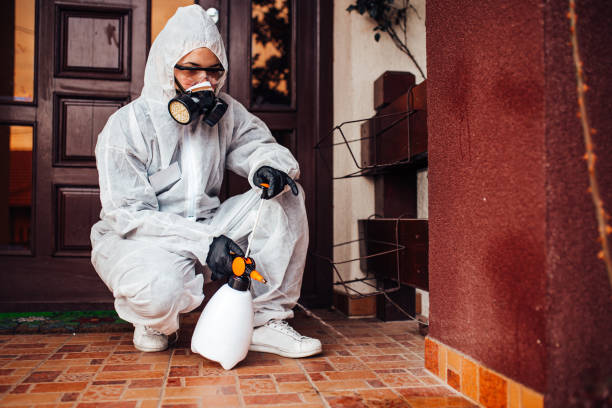 Reliable Bed Bug Control contractor in Fruitland Park, FL by Nex Pest Control
